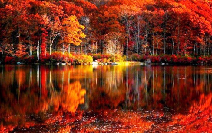 scenic autumn lake