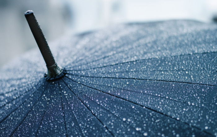 wet umbrella